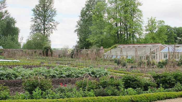 garden allotment   