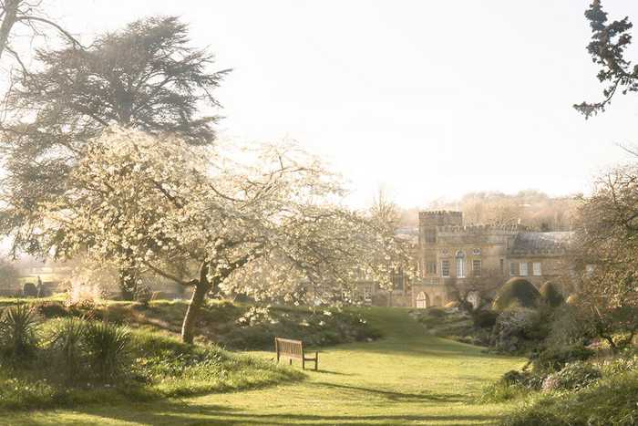 spring at forde abbey