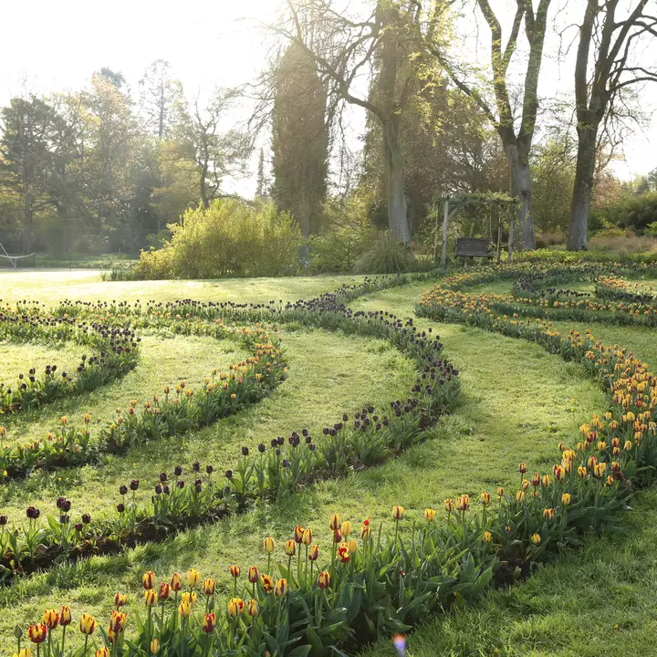 Easter Trail | Events | Forde Abbey