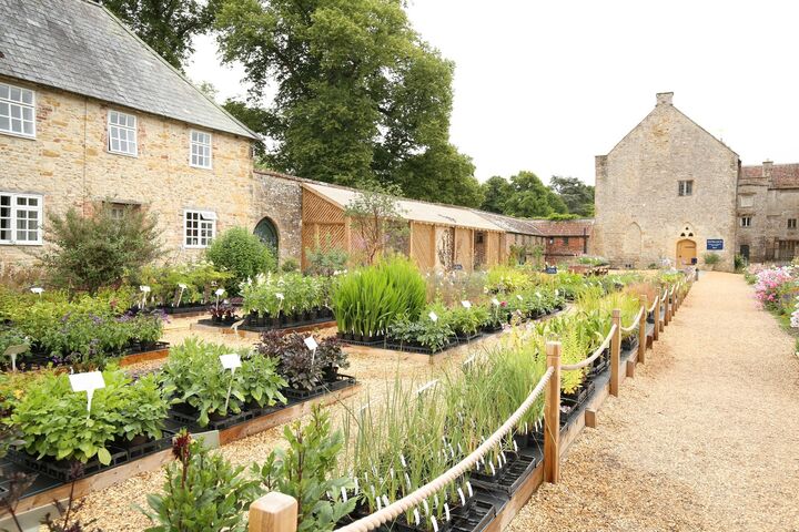 kitchengarden_blog.jpg