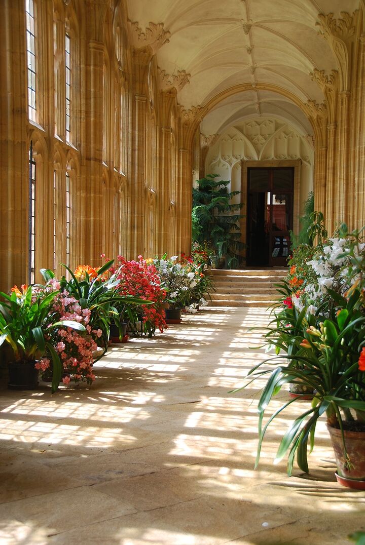 Cloisters_flowers.jpg