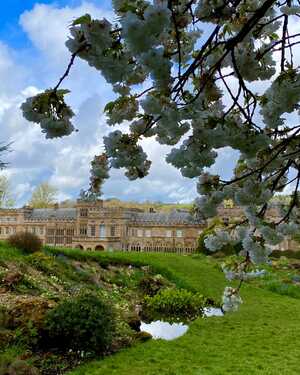 Forde Abbey in Blossom - Highly Commended Denise Pollock Forde Abbey & Gardens