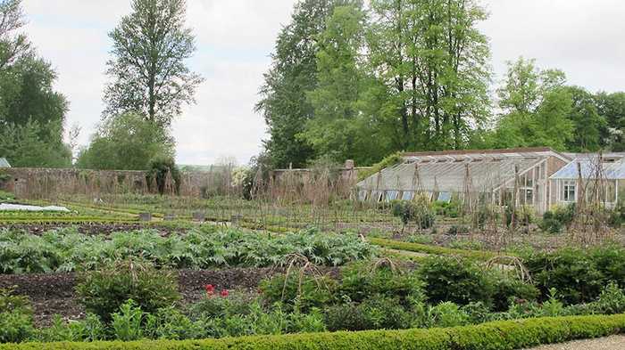 garden allotment garden allotment