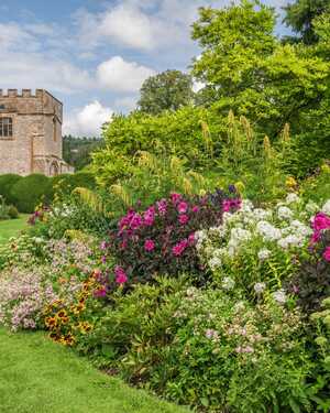 Chapel of Splendour - Highly commended Dianne Giles Forde Abbey & Gardens