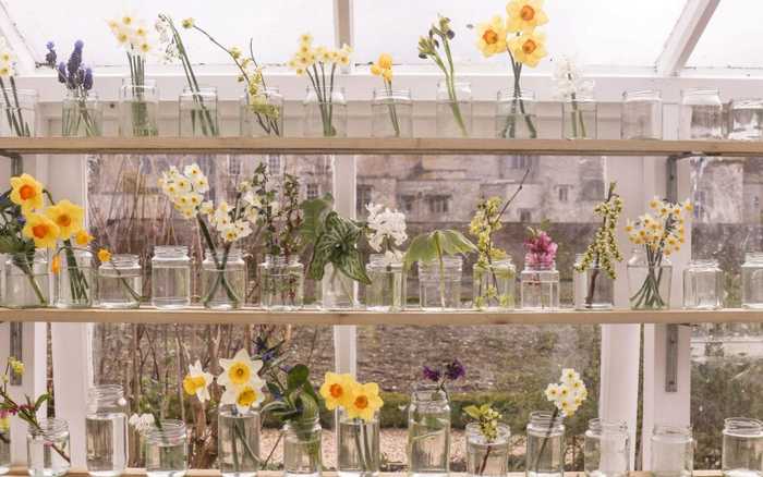 jars of flowers jars of flowers