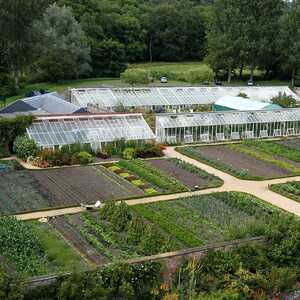 Kitchen Garden
