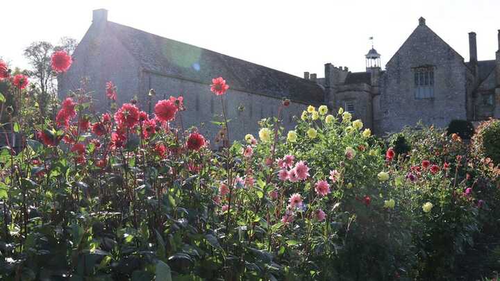 My Favourite Garden By Isabel Bannerman