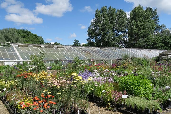 plantnursery.jpg