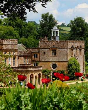 Poppies - 1st Mark Cope Forde Abbey Gardens