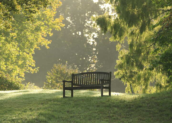 gardens to visit in somerset