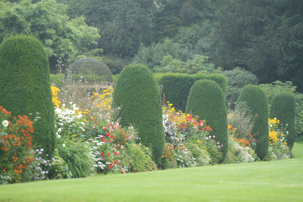 Autumn Plant & Gardening Fair